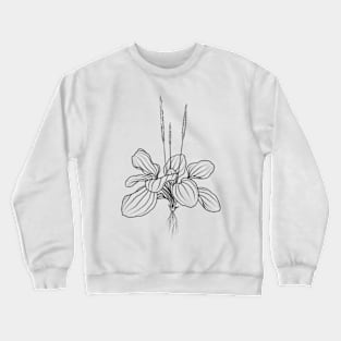 Plantago major Crewneck Sweatshirt